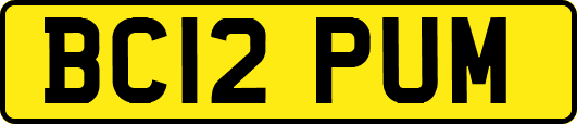 BC12PUM