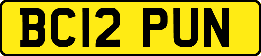 BC12PUN