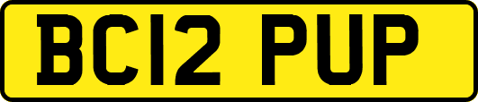 BC12PUP