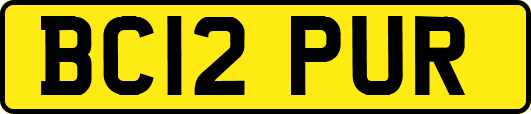 BC12PUR