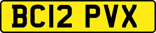 BC12PVX