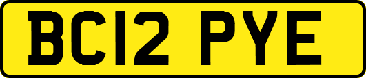 BC12PYE