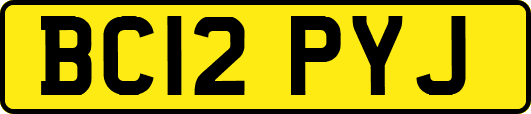 BC12PYJ