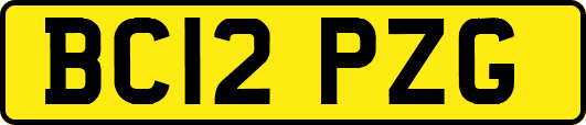 BC12PZG