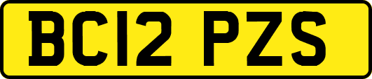 BC12PZS