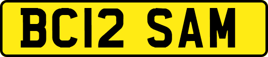 BC12SAM