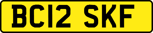 BC12SKF