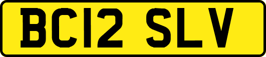 BC12SLV