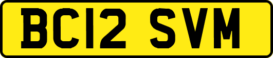 BC12SVM