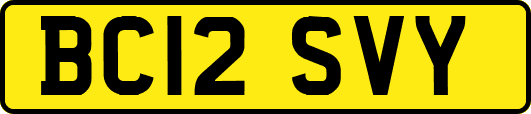 BC12SVY