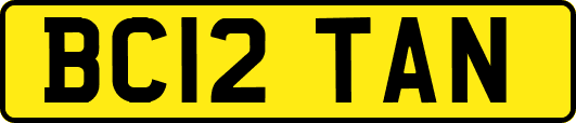BC12TAN