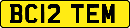BC12TEM