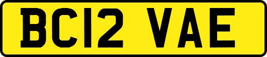 BC12VAE