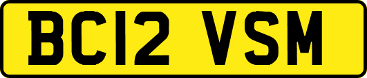 BC12VSM