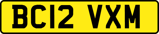 BC12VXM