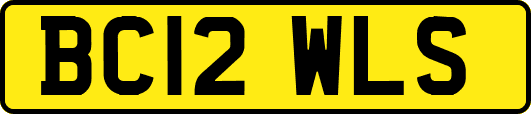 BC12WLS