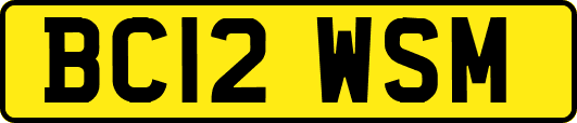 BC12WSM