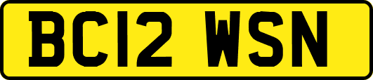 BC12WSN