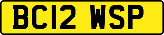 BC12WSP