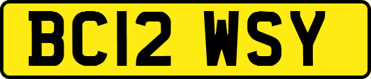 BC12WSY
