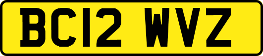 BC12WVZ
