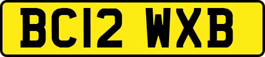BC12WXB
