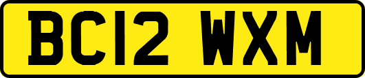 BC12WXM