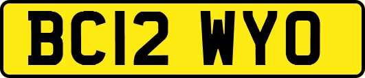 BC12WYO