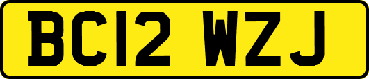 BC12WZJ