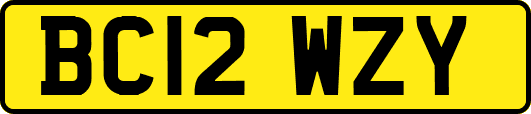 BC12WZY