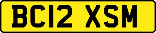 BC12XSM