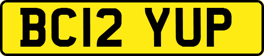 BC12YUP