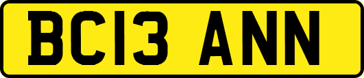 BC13ANN