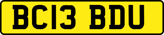 BC13BDU