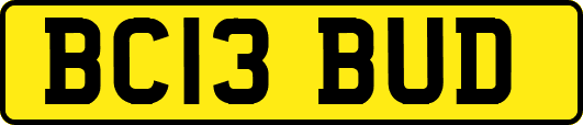 BC13BUD