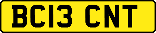 BC13CNT
