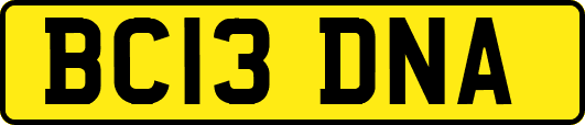 BC13DNA