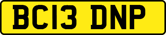 BC13DNP