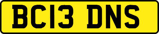BC13DNS