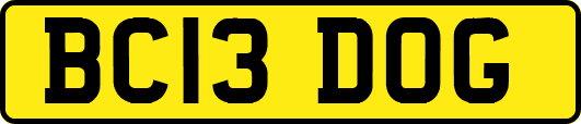 BC13DOG