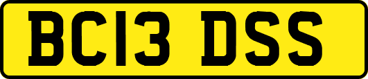 BC13DSS