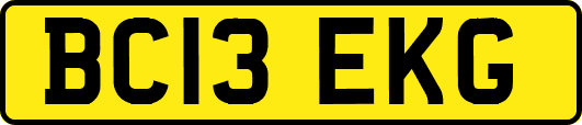 BC13EKG