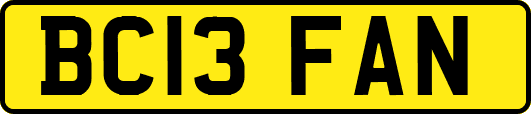 BC13FAN