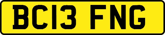BC13FNG