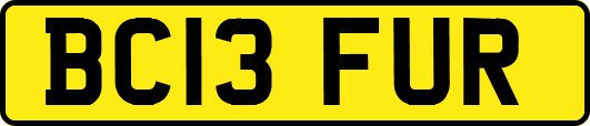 BC13FUR
