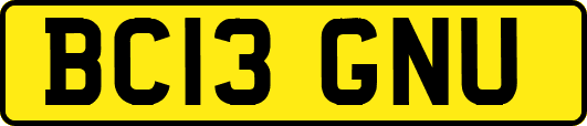 BC13GNU