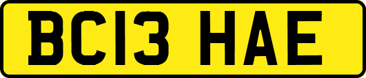 BC13HAE