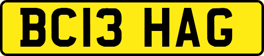 BC13HAG