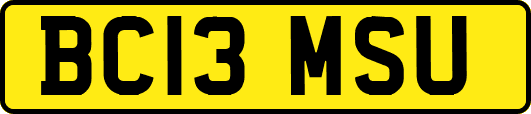 BC13MSU