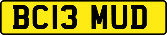 BC13MUD